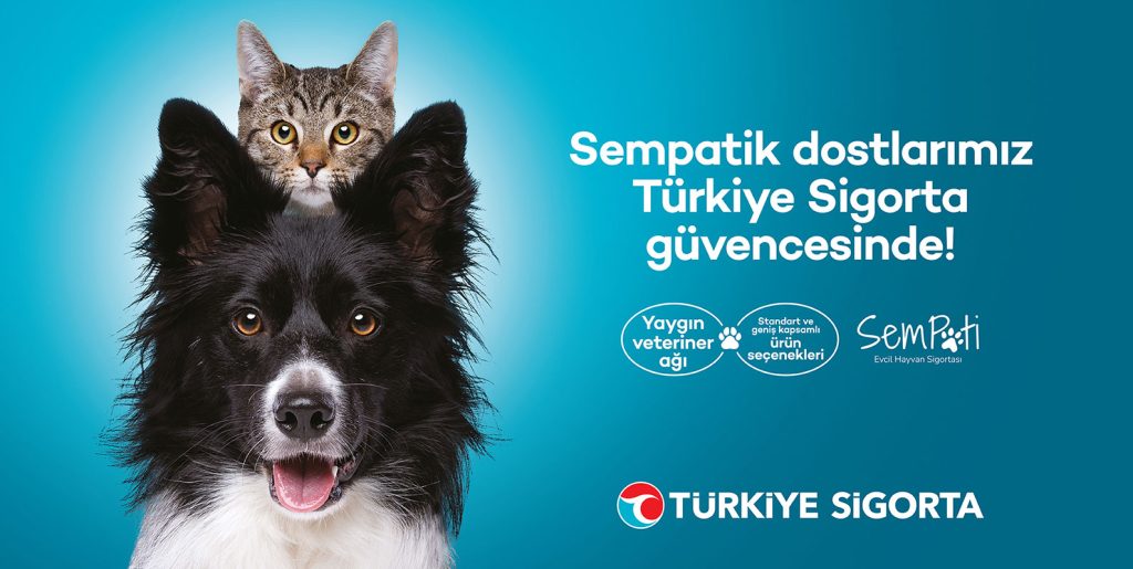 Türkiye Sigorta’dan patili dostlara özel sigorta seçeneği