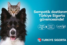 Türkiye Sigorta’dan patili dostlara özel sigorta seçeneği 6 Türkiye Sigorta’dan patili dostlara özel sigorta seçeneği