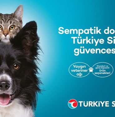 Türkiye Sigorta’dan patili dostlara özel sigorta seçeneği 4 Türkiye Sigorta’dan patili dostlara özel sigorta seçeneği
