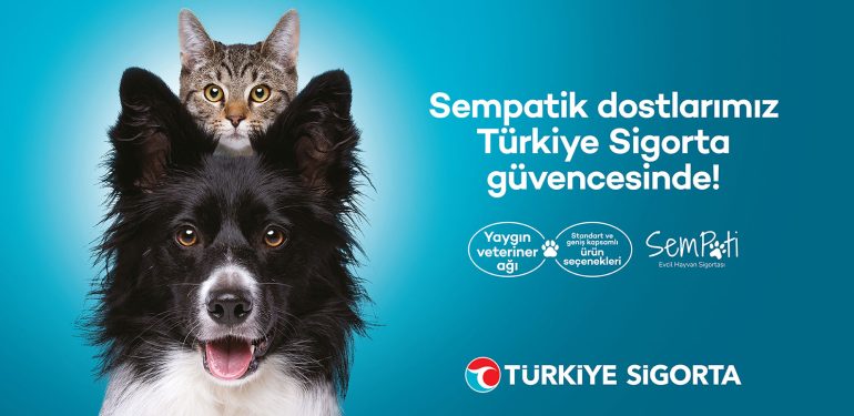 Türkiye Sigorta’dan patili dostlara özel sigorta seçeneği 1 Türkiye Sigorta’dan patili dostlara özel sigorta seçeneği