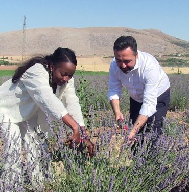 Della Miles, Kahramanmaraş'ta lavanta hasadına katıldı