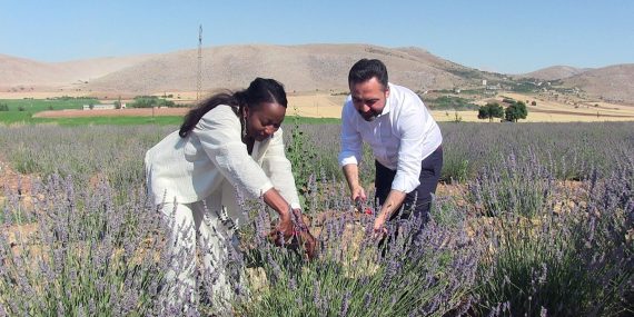 Della Miles, Kahramanmaraş’ta lavanta hasadına katıldı