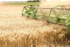 TMO, hububat alım süresini 21 eylül’e uzattı 3 TMO, hububat alım süresini 21 eylül’e uzattı