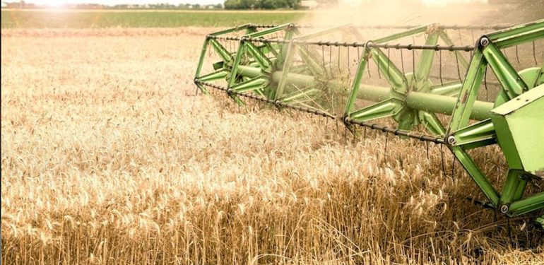TMO, hububat alım süresini 21 eylül’e uzattı