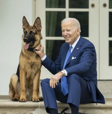 Biden'ın İltica Politikasına Yargı Durdurması: İşte Detaylar 3 Joe Biden