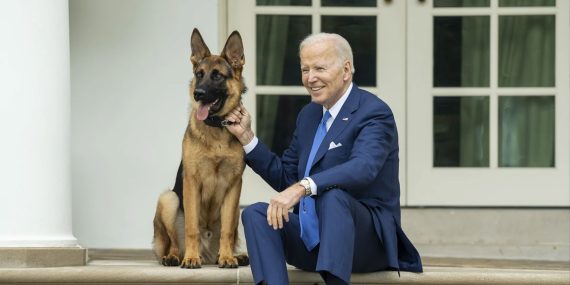 Biden’ın İltica Politikasına Yargı Durdurması: İşte Detaylar