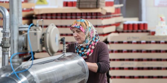 Kadın Kooperatiflerine Hibelerde Güncelleme: KOOP-DES