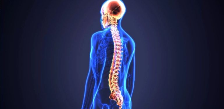 Felç Tedavisinde Çığır Açacak Gelişme: Kanadalı Bilim İnsanlarından Dev Adım 1 Felç Tedavisi