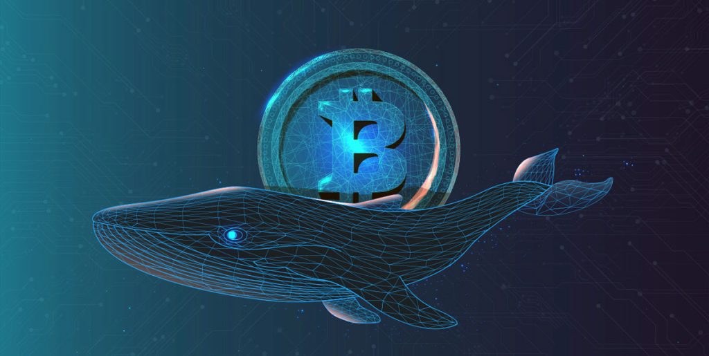 Bitcoin Balinası
