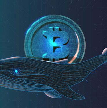 BitMEX ile İlişkili Bitcoin Balinası: Gizemli Büyük Yatırımcının Kimliği Ortaya Çıktı 4 Bitcoin Balinası