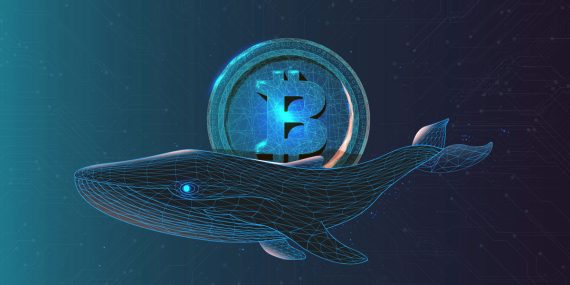 BitMEX ile İlişkili Bitcoin Balinası: Gizemli Büyük Yatırımcının Kimliği Ortaya Çıktı