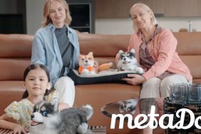 metaDog