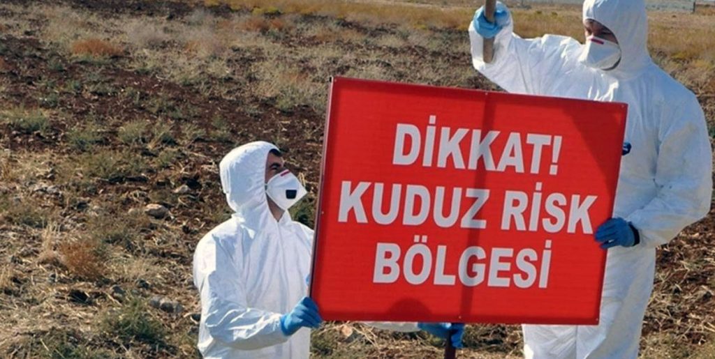 Kuduz Risk Bölgesi