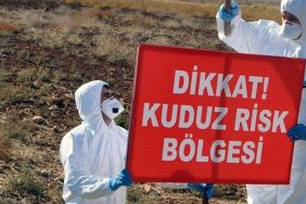 Hatay Defne'de Kuduz Alarmı İki Mahalle Karantinaya Alındı 3 Kuduz Risk Bölgesi