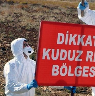 Kuduz Risk Bölgesi