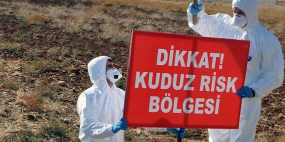 Hatay Defne’de Kuduz Alarmı İki Mahalle Karantinaya Alındı