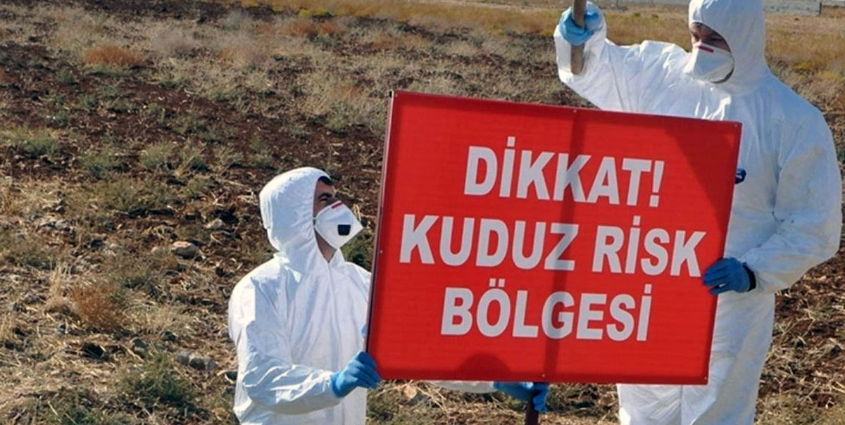 Hatay Defne'de Kuduz Alarmı İki Mahalle Karantinaya Alındı 2 Kuduz Risk Bölgesi