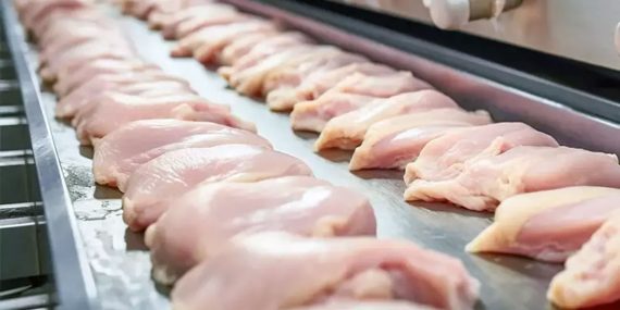 Türkiye’de Tavuk Eti İhracatına Sınırlama ve Fiyat Artışlarına Ceza