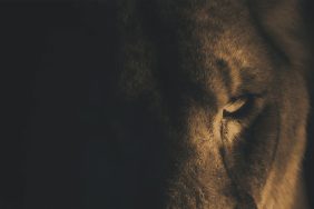 Aslan