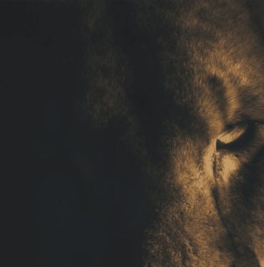 Aslan