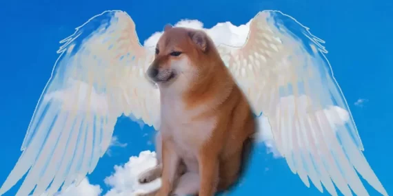Dogecoin’in Maskotu Kabosu Hayata Veda Etti