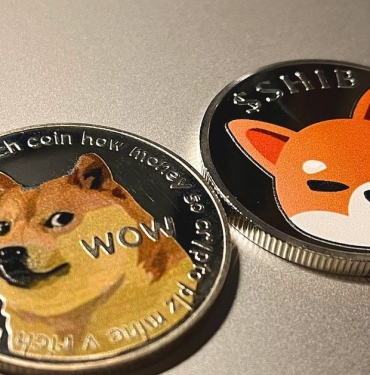 Elon Musk'ın Tweet'i Sonrası DOGE ve SHIB Yükseldi 4 elon-muskin-tweeti-sonrasi-doge-ve-shib-yukseldi-PzyMbPXQ.jpg