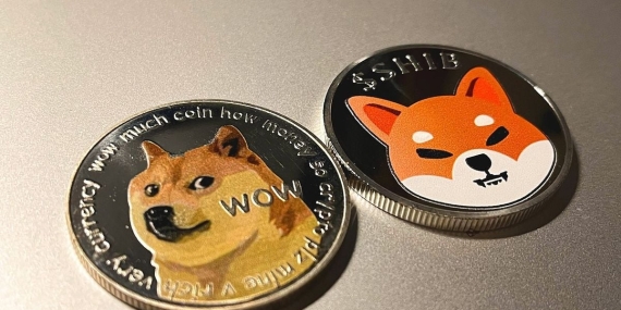 Elon Musk’ın Tweet’i Sonrası DOGE ve SHIB Yükseldi