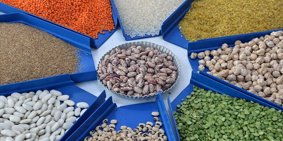 Tarım ve Orman Bakanı İbrahim Yumaklı, Ticaret Bakan Yardımcısı ve Sektör Temsilcileriyle Görüştü