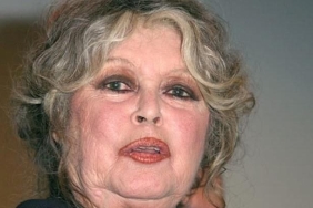 Brigitte Bardot: Sinemanın İkonik Kadın Figürü ve Hayvan Hakları Aktivisti 3 brigitte-bardot-sinemanin-ikonik-kadin-figuru-ve-hayvan-haklari-aktivisti-UOOlp87X.jpg