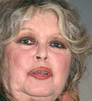 Brigitte Bardot: Sinemanın İkonik Kadın Figürü ve Hayvan Hakları Aktivisti 7 brigitte-bardot-sinemanin-ikonik-kadin-figuru-ve-hayvan-haklari-aktivisti-UOOlp87X.jpg