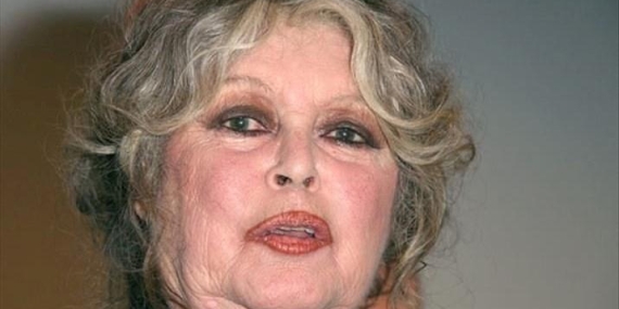 Brigitte Bardot: Sinemanın İkonik Kadın Figürü ve Hayvan Hakları Aktivisti