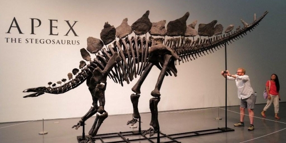 Dünyanın En Değerli Dinozor Fosili ‘Apex’ 44,6 Milyon Dolara Satıldı