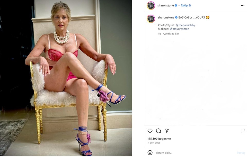 Sharon Stone: Felç ve Yeniden Doğuş Hikayesi 1 Felç Sonrası Zorlu Süreç