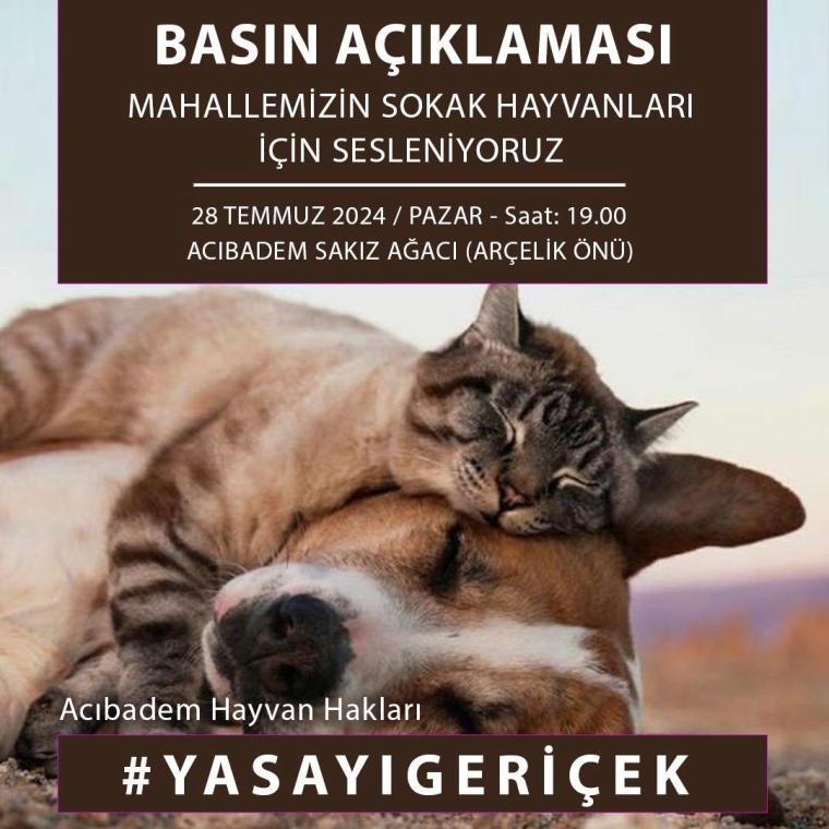 Sokak Köpeklerine İlişkin Yasa Teklifi Kabul Edildi: Tepkiler Sürüyor 1 Sokak Köpeklerine İlişkin Yasa Teklifi Kabul Edildi: Tepkiler Sürüyor