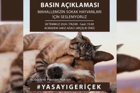 Sokak Köpeklerine İlişkin Yasa Teklifi Kabul Edildi: Tepkiler Sürüyor 3 sokak-kopeklerine-iliskin-yasa-teklifi-kabul-edildi-tepkiler-suruyor-P3CG6fSM.jpg