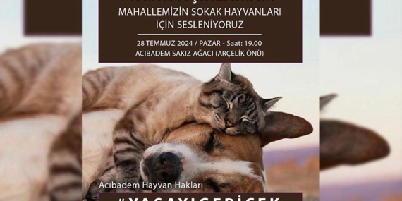 Sokak Köpeklerine İlişkin Yasa Teklifi Kabul Edildi: Tepkiler Sürüyor