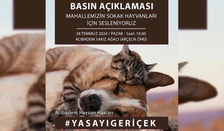 Sokak Köpeklerine İlişkin Yasa Teklifi Kabul Edildi: Tepkiler Sürüyor 6 sokak-kopeklerine-iliskin-yasa-teklifi-kabul-edildi-tepkiler-suruyor-P3CG6fSM.jpg