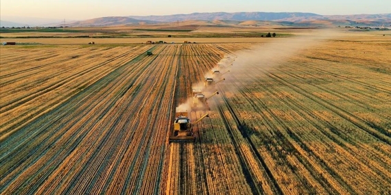 Tarımsal Destek Ödemeleri İlk 6 Ayda 56,1 Milyar Liraya Ulaştı