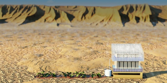 Güneş Enerjisi ile Atmosferden Su Üretimi: KAUST’un Yenilikçi Sistemi