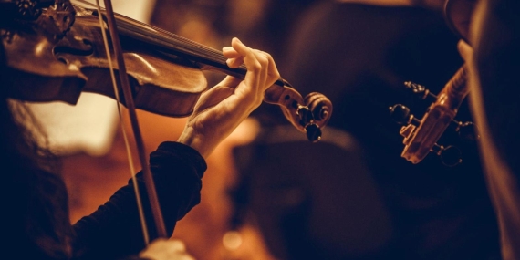 2023 Sanat Fuarları, Konserler ve Film Festivalleri