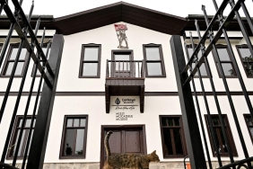 Abidin Paşa Köşkü Müzesi: Milli Mücadele Tarihinin Gizemlerini Keşfedin! 5 abidin-pasa-kosku-muzesi-milli-mucadele-tarihinin-gizemlerini-kesfedin-8jXc2Z8k.jpg