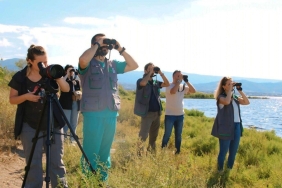 izmit-korfezinde-flamingo-populasyonu-patlama-yapti-bu-guzellikleri-kacirmayin-FuWEqVgY.jpg