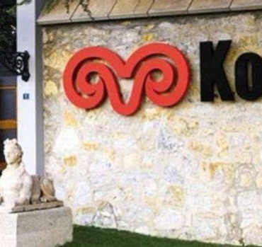 Koç Holding'den Rekabet Kurulu'na Sarsıcı Başvuru: Pazarda Şok Etkisi! 3 koc-holdingden-rekabet-kuruluna-sarsici-basvuru-pazarda-sok-etkisi-gMzEevSG.jpg