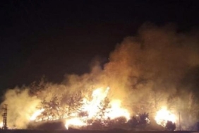 Alanya'daki Orman Yangını Başarıyla Kontrol Altına Alındı 13 alanyadaki-orman-yangini-basariyla-kontrol-altina-alindi-igsOVOI9.jpg
