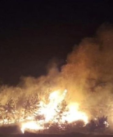 Alanya'daki Orman Yangını Başarıyla Kontrol Altına Alındı 2 alanyadaki-orman-yangini-basariyla-kontrol-altina-alindi-igsOVOI9.jpg