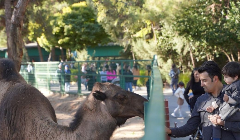 Gaziantep Doğal Yaşam Parkı: 4,2 Milyon Ziyaretçinin Sırrı Ne? 6 gaziantep-dogal-yasam-parki-42-milyon-ziyaretcinin-sirri-ne-eVquEHHz.jpg