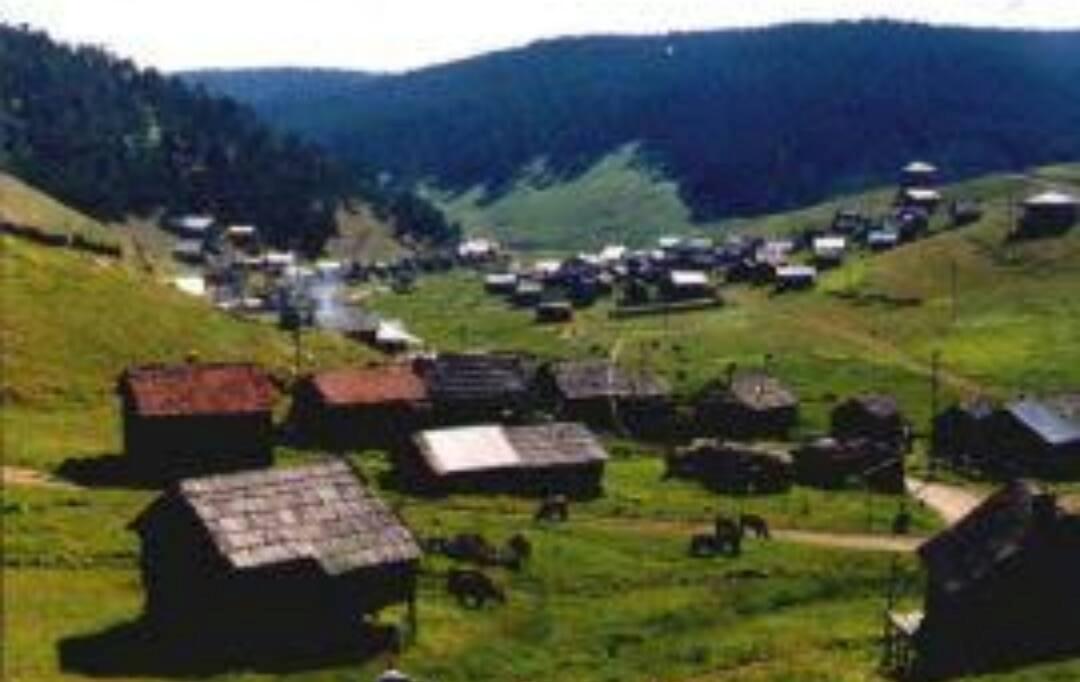 Sivas'ta Dehşet Verici Yayla Yağması: Betonla Yok Edilen Bölge Hakkında Her Şey! 2 Sivas'ta Dehşet Verici Yayla Yağması: Betonla Yok Edilen Bölge Hakkında Her Şey!
