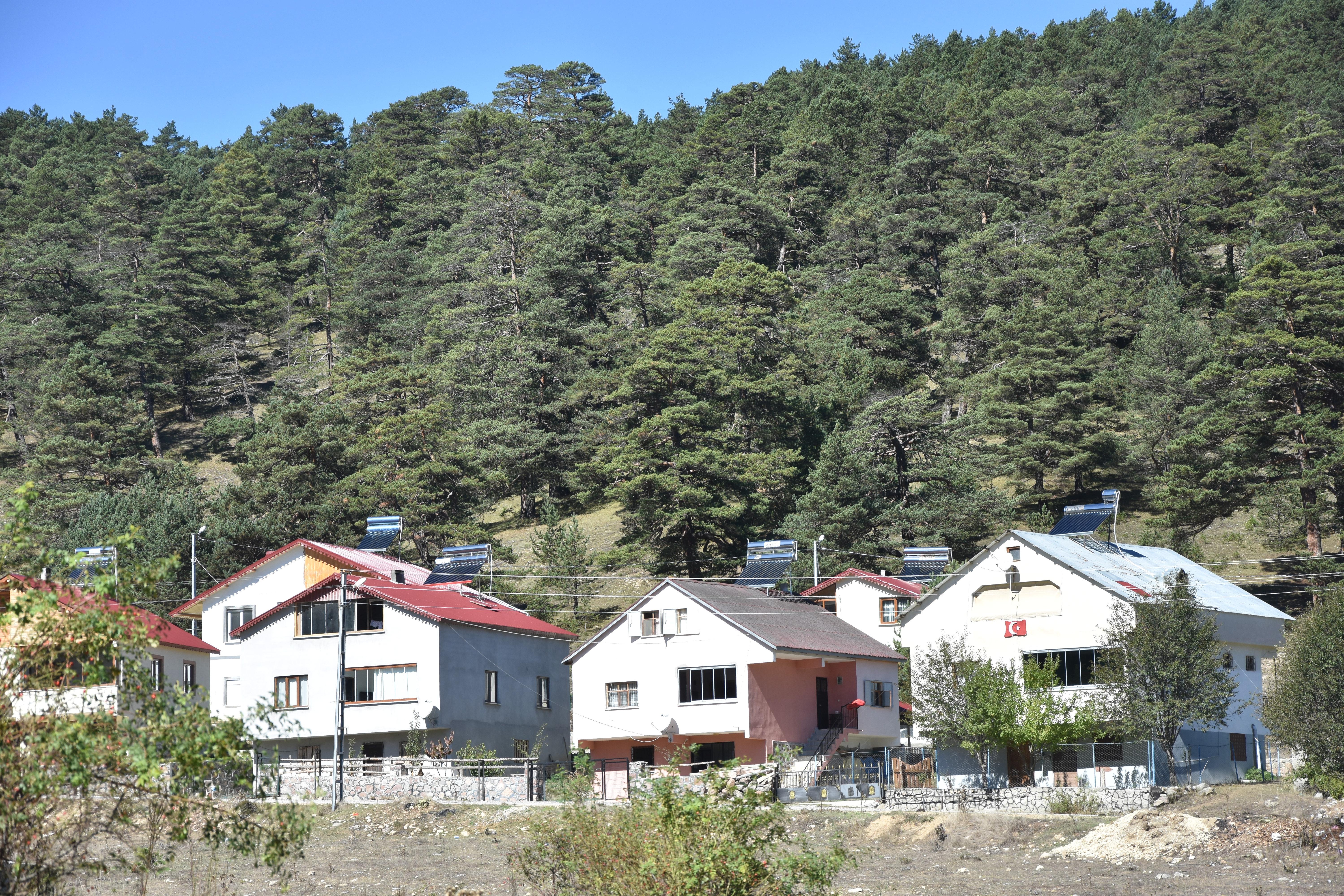 Sivas'ta Dehşet Verici Yayla Yağması: Betonla Yok Edilen Bölge Hakkında Her Şey! 9 Sivas'ta Dehşet Verici Yayla Yağması: Betonla Yok Edilen Bölge Hakkında Her Şey!