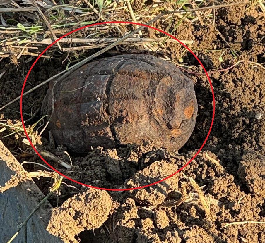 Tarlayı Sürerken El Bombasına Takılan Şanssız Olay 1 İnegöl'de Tarihi Bir Keşif: El Bombası Bulundu