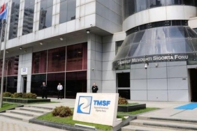 TMSF, Üç Şirketin Paylarını Satmak İçin Rekor İhale Duyurusunu Yaptı! 1 tmsf-uc-sirketin-paylarini-satmak-icin-rekor-ihale-duyurusunu-yapti-MIuSNM3V.jpg